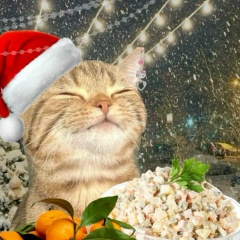 Ризида Туружанова, 24.06