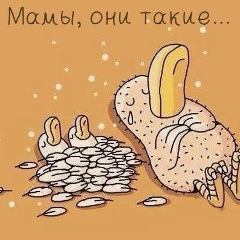 Наталья Шаркина, Санкт-Петербург