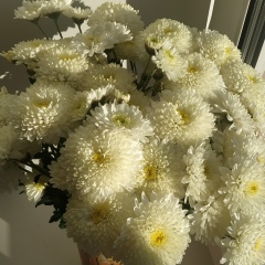 Ирина Бурдейная, 02.03, Богданович