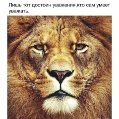 Элиза Шамсудинова, 22.02.1995, Грозный