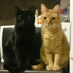 Анастасия Макарова, 20.12.1984, Зеленоград