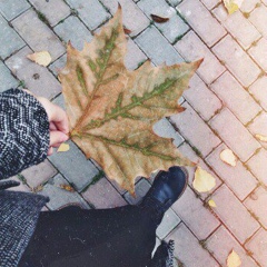 Карина Шакова, 12.01.2000, Нарткала