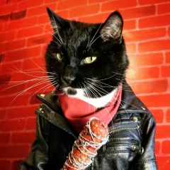 Alex Tennant, 27.08, Москва