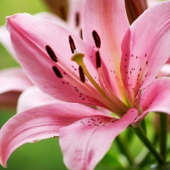 Наталья Рыжова, 21.09, Санкт-Петербург