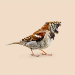 Жаслан Жакишев, 02.06.1987, Уральск