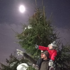 Talez Piper, 07.12.1917