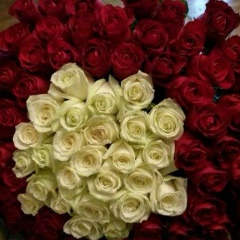 Zaira Milay, 16.10, Москва