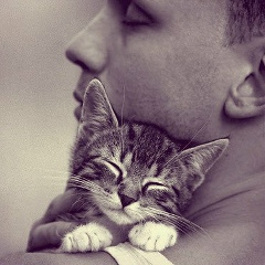 Сергей Тарасов, 03.12.1987