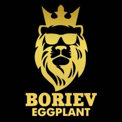 Ержигит Бориев, 01.06, Шымкент