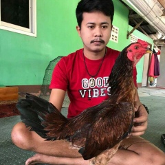 เอี่ยว พลังหนุ่มห้าแปด