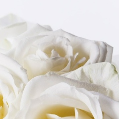 Bibinur Utepkhanova, 20.08, Алматы