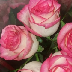 Гузеля Азатова, 30.05.1995, Алматы