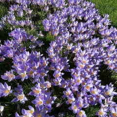 Виктория Швидкая, 08.06.1983, Luxembourg