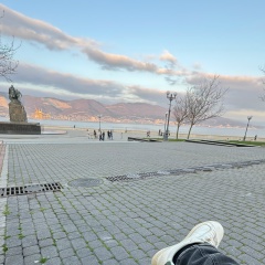 Виталий Алисов