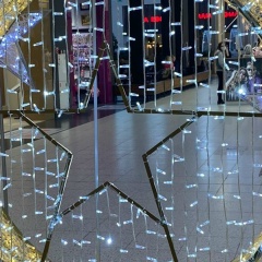 Ирина Соколова