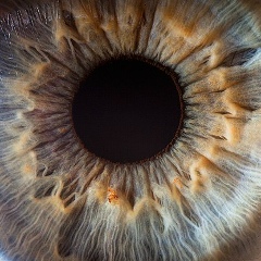 Рузаль Закиров, 11.04, Казань