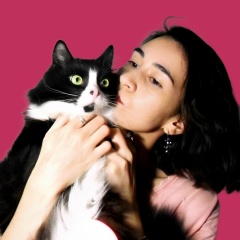 Нисо Вьясадева