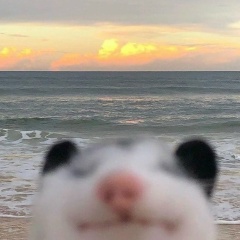 Вадим Снимщиков