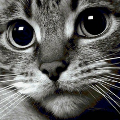 Юрий Кудрявцев, 02.06.1979, Москва