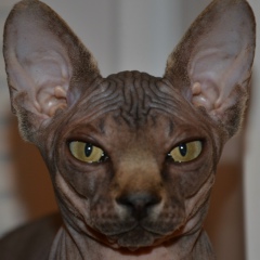 Оля Шинкаренко, 25.12.1984, Запорожье