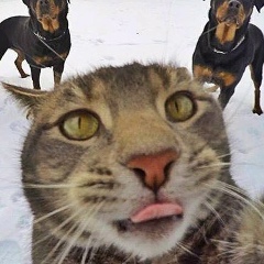 Глеб Бобков, 06.06.1988, Москва