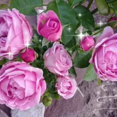 Виктория Лобунец, 16.05