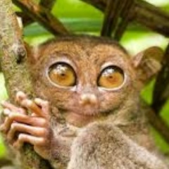 Зуфар Ярмухаметов