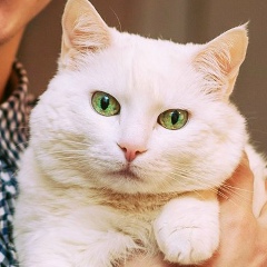 Костянтин Савчин, 20.06.1991, Киев