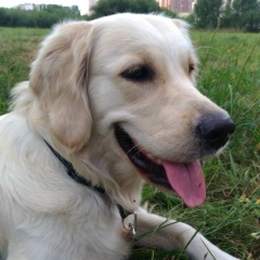 Александр Бойков, 29.09.1984, Санкт-Петербург