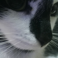 Ilya Aleksandrov, Санкт-Петербург