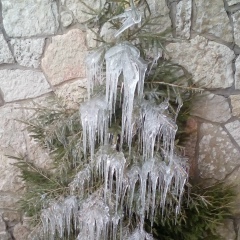 Сева Русаков, 17.04.1993, Липецк