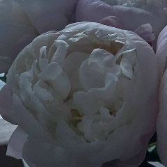 Ольга Ольга, 03.07