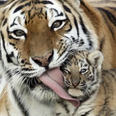 Мария Степанова, 10.11.1982, Якутск