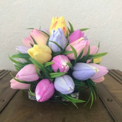 Тамара Ивасенко, Москва