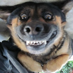 Саня Che, 09.08.1989, Тула