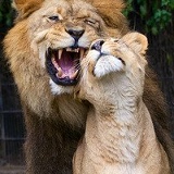 Мартин Гунжафов, 19.05.1982