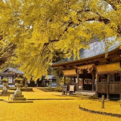 Min Khine, 12.10.1964, Yangon