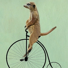 Игорь Леус, 29.06.1970, Санкт-Петербург