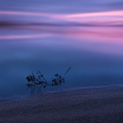 Anastasia Kurnevich, 03.02.1990, Москва