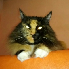 Марина Марина, Красноярск