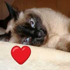 Елена Филатова, 22.05.1980, Санкт-Петербург