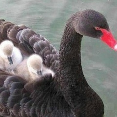 Нурик Ысмайылов, 25.07, Красноярск