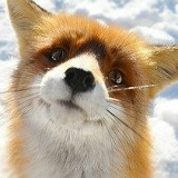 Лия Амбург, 30.09