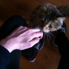 Егор Исаев, 31.08.1999