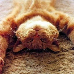 Денис Кирюшкин, Москва