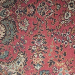 Azer Rzaev, 14.03.1994, Санкт-Петербург