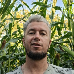 Сергей Васильев, Санкт-Петербург