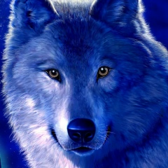 Сергей Осипенко, 14.08.1967, Никополь