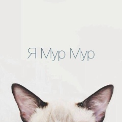 Юля Петрова, Санкт-Петербург