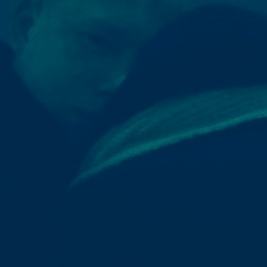 Денис Каримов